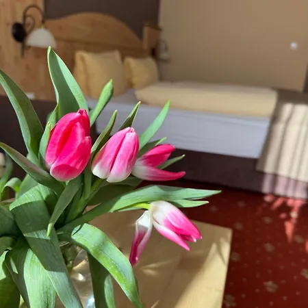Mesnerwirt Hotel 3*